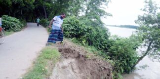 খোকসায় নদী ভাঙ্গনের হুমকীতে পাকা রাস্তা, বসত বাড়ি