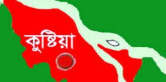 ভেড়ামারায় বিদ্যুৎপৃষ্টে মা-ছেলের মৃত্যু