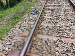 ঘুমের মধ্যে ট্রেনে কাঁটা পরে মানসিক প্রতিবন্ধি যুবকের মৃত্যু