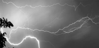 ভেড়ামারায় বজ্রপাতে দুই কৃষকের মৃত্যু