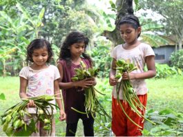ঢ্যাপ ও শৈশব