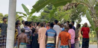 খোকসায় হাতের কাচি বিদ্যুতের তারে জড়িয়ে কৃষকের মুত্যু