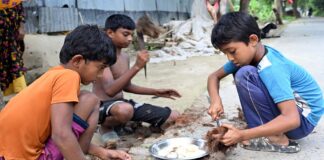 তাল বীজের শাঁস