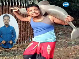 ডলফিনের সাথে ভিডিও করে ছডিয়ে দেওয়া যুবক আটক