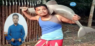 ডলফিনের সাথে ভিডিও করে ছডিয়ে দেওয়া যুবক আটক