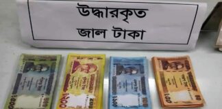 লালন উৎসবে সক্রিয় ছিল অপরাধী চক্র