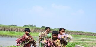 দূরন্ত শৈশব