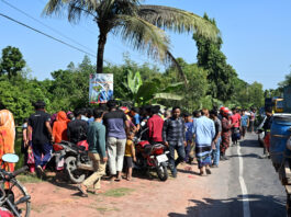 খোকসায় সড়ক দুর্ঘটনায় নসিমন চালকের মৃত্যু
