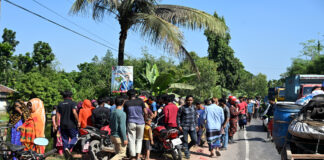 খোকসায় সড়ক দুর্ঘটনায় নসিমন চালকের মৃত্যু