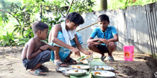 চড়ুই ভাতি