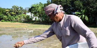 প্রস্তুতি