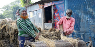 ধান মাড়াই
