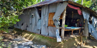 বিএনপির ১২ নেতাকর্মীর বাড়িতে লুটপাট করেছে আওযামী লীগ লোকেরা