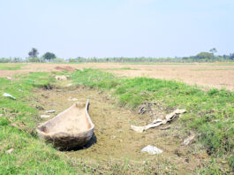 তালের ডোঙা