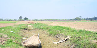 তালের ডোঙা