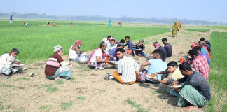 মাঠের জলখাবার