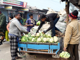 সবজির দাম তলানিতে
