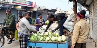 সবজির দাম তলানিতে