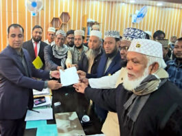 মনোনয়ন ফরম কিনলেন আমির হামজা