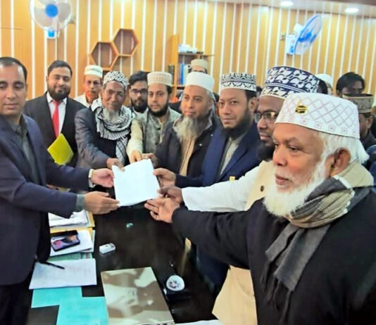 মনোনয়ন ফরম কিনলেন আমির হামজা