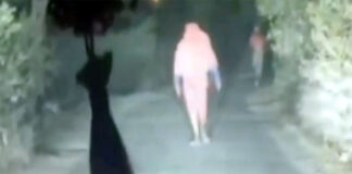 প্রাইভেটকারে ডাকাতির ভিডিও ভাইরাল