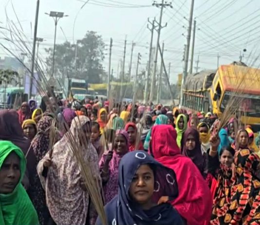 কুষ্টিয়ায় আমির হামজার বিরুদ্ধে নারীরা ঝাড়ু মিছিল করেছে