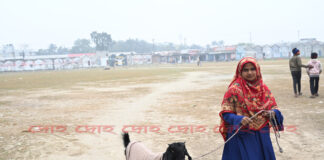 পশুদেরও বেড়েছে রোগ ব্যধি