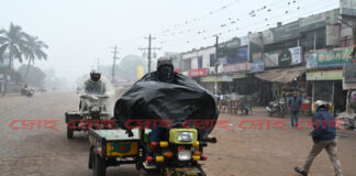 কুয়াশা বৃষ্টি থেকে রক্ষায়