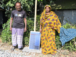 বিদ্যুত স্বাশ্রয়