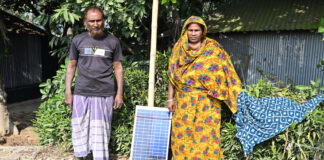 বিদ্যুত স্বাশ্রয়