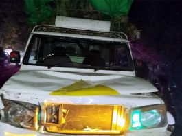 পিকআপ-নছিমন গাড়ির মুখোমুখি সংঘর্ষে নিহত এক