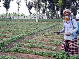 ছত্রাক দমনের প্রস্তুতি