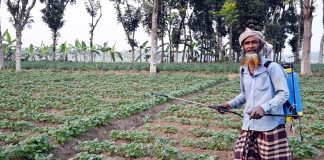 ছত্রাক দমনের প্রস্তুতি