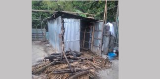 দৌলতপুরে জামায়াত নেতার রান্না ঘরে দুর্বৃত্তের আগুন