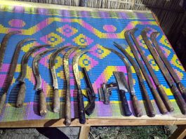 দৌলতপুরে বিজিবি’র অভিযানে অস্ত্র ও গুলি উদ্ধার