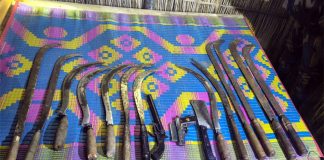 দৌলতপুরে বিজিবি’র অভিযানে অস্ত্র ও গুলি উদ্ধার