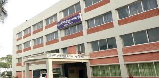 সড়ক দুর্ঘটনায় দুই সহপাঠী নিহত, আহত ১