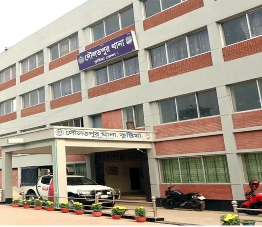 সড়ক দুর্ঘটনায় দুই সহপাঠী নিহত, আহত ১