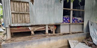 কুমারখালীতে ঈদের নামাজের স্থান নির্ধারণ নিয়ে দু’পক্ষের সংঘর্ষ