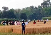 তুচ্ছ ঘটনায় প্রতিপক্ষের হামলায় গুলিবিদ্ধসহ আহত ৭ জন