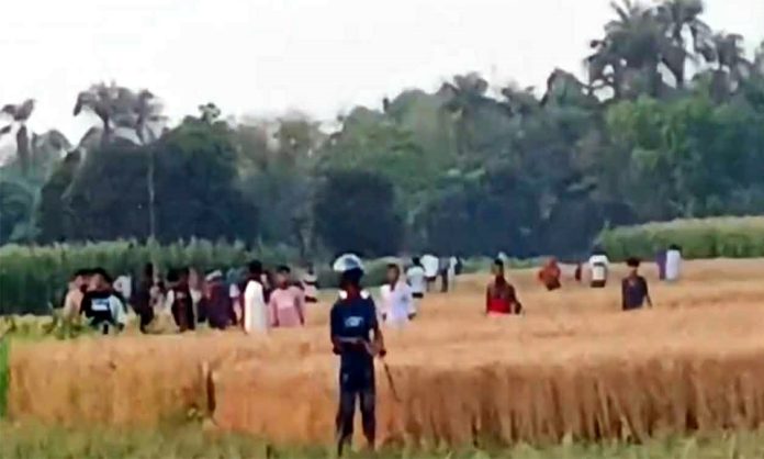 HAMLA KUMARKHILY 22 - P - 1