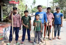 কুকুরে কামড়ে চার শিশু ও প্রতিবন্ধি বৃদ্ধাসহ সাতজন আহত