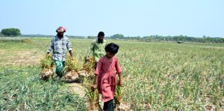 ঈদে মিথিলার নতুন জামা হবে তো ?