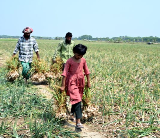 ঈদে মিথিলার নতুন জামা হবে তো ?