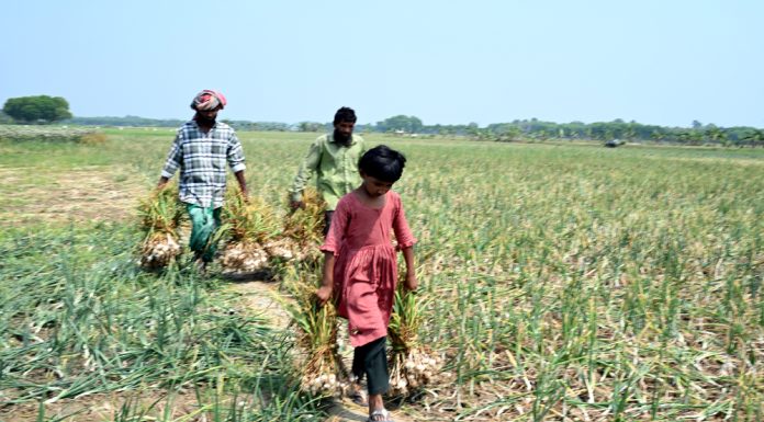 ঈদে মিথিলার নতুন জামা হবে তো ?