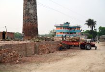কাঠ পুড়ছে ইট ভাটায়