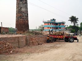 কাঠ পুড়ছে ইট ভাটায়