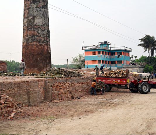 কাঠ পুড়ছে ইট ভাটায়