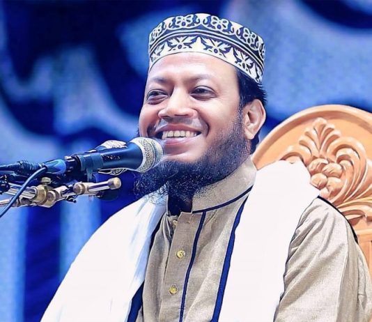 ডিসি পদায়ন নিয়ে মন্তব্য করায় এমপি আমির হামজাকে লিগ্যাল নোটিশ