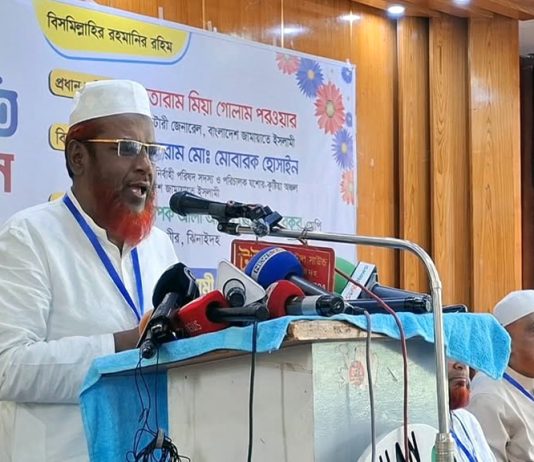 বর্তমান সরকারকে ফ্যাসিবাদী শাসনের ভূতে ধরেছে – মিয়া গোলাম পরওয়ার